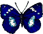 bluebutterfly.gif
